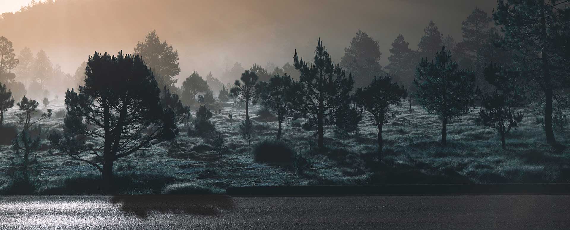 wall